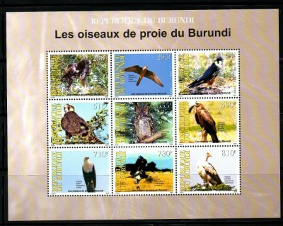 BURUNDI 2009 PASARI DE PRADA foto
