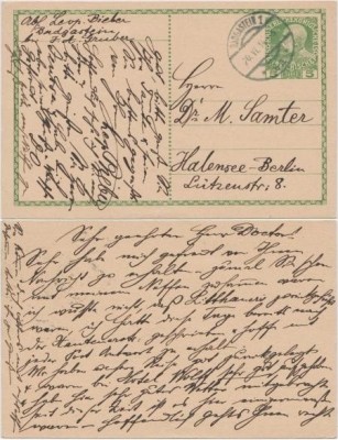 Austria 1914 Postcard Stationery Card Bad Gastein to Berlin D.393 foto