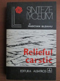 Marcian Bleahu - Relieful carstic
