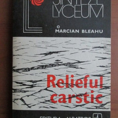 Marcian Bleahu - Relieful carstic