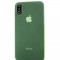 Husa Telefon PC Case, iPhone Xs Max, Green