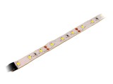 Bandă LED alb rece 12V 14,4W/m