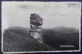 1945 - Baia Mare, stanca de pe Rozsaly (jud. Maramures)