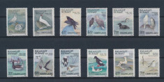 GROENLANDA--Pasari-Patru serii completa de timbre nestampilate din 1987-1990 MNH foto