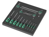 Set Șurubelnițe Torx WERA &icirc;n Inserție din Spumă