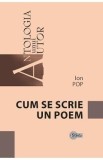 Cum se scrie un poem - Ion Pop