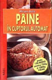 PAINE IN CUPTORUL AUTOMAT-MIRJAM BEILE-360137