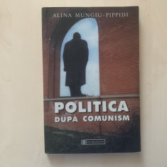 Alina Mungiu-Pippidi - Politica după comunism