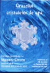 Oracolul cristalelor de apa - Masaru Emoto - Adevar Divin