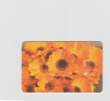 bnk card Cartele telefonice - Romania Romtelecom 2007 - Flowers 6 - Col:RO-ROM-0368B