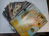 Revista MARI PICTORI - 85 numere