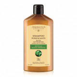 Șampon cu extract de mesteacăn și mentă, 300 ml, L&#039;Erboristica