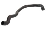 Furtun radiator AUDI A3 Sportback (8PA) (2004 - 2013) THERMOTEC DWW022TT