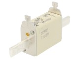 Siguranță ceramică industrială gG 100A 500VAC NH1C