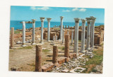 FA20-Carte Postala- LIBIA - Apollonia, Central Church, necirculata, Fotografie