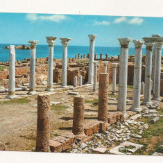 FA20-Carte Postala- LIBIA - Apollonia, Central Church, necirculata