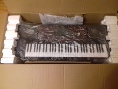 Korg pa 700 foto