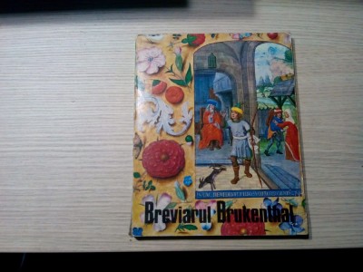 BREVIARUL BRUKENTHAL - Gheorghe David, Doina Nagler - 1981, 21 p.+XLI planse foto