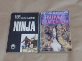 ERIC VAN LUSTBADER - NINJA + INIMA DRAGONULUI ( Ninja II )