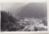 Bnk foto - Voineasa - 1981, Alb-Negru, Romania de la 1950, Natura