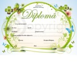 Diploma D4