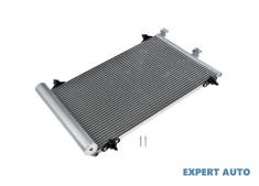 Radiator aer conditionat Citroen Xsara Picasso (1999-&gt;) [N68] #1