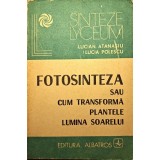 Lucian Atanasiu, Lucia Polescu &ndash; Fotosinteza sau cum transformă plantele lumina soarelui