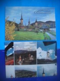 HOPCT LOT 2548 MANASTIREA BARSANA-JUD MARAMURES-2 CARTI POSTALE-CIRCULATE, Circulata, Printata, Satu Mare