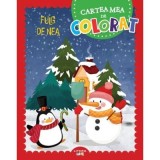 Fulg de nea. Cartea mea de colorat