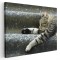 Tablou pisica dormind pe scari Tablou canvas pe panza CU RAMA 60x80 cm