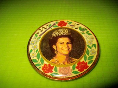 9681-Insigna vintage Printesa germana- Pt. ingrijirea casei. foto