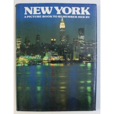 NEW YORK - A PICTURE BOOK TO REMEMBER HER BY , designed by DAVID GIBBON , 1978