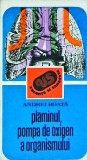 Andrei Roata - Plamanul, pompa de oxigen a organismului