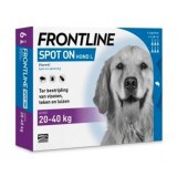 FRONTLINE SPOTON L CUTIE 3PIP