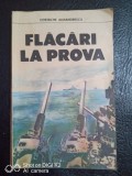 Flacari la prova-Costache Alexandrescu