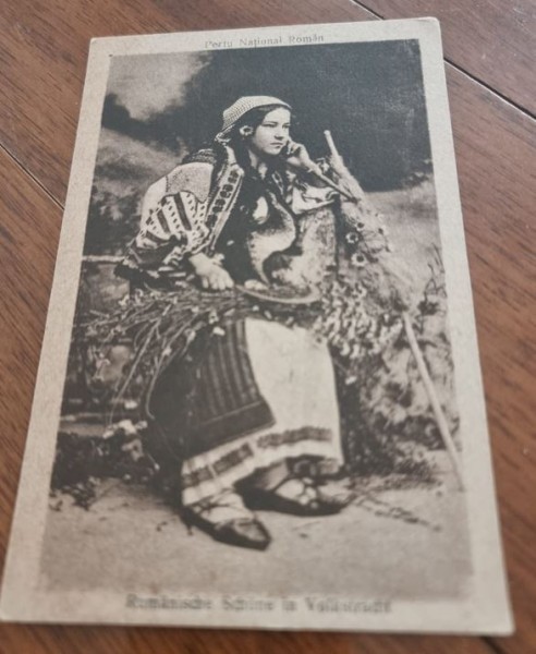 Carte Postala - Fata in port popular