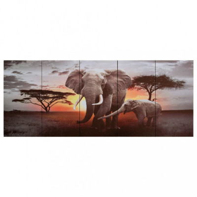 Set Tablouri Din P&amp;acirc;nză Imprimeu Elefant Multicolor 200x80 cm 289289 foto