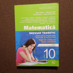 Petre Simion- Matematica. Breviar teoretic. Probleme rezolvate CLASA A X A