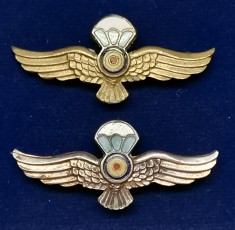 Romania Semne de arma Parasutisti aurii foto