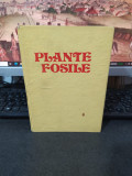 Plante fosile. Introducere &icirc;n paleobotanică, Petrescu și Dragastan, 1981, 218