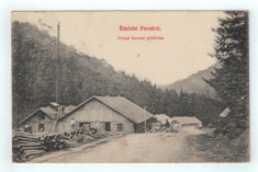 Parajd, Praid - Bucsini gozfuresz 1909 foto
