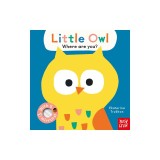 Baby Faces: Little Owl, Where Are You?