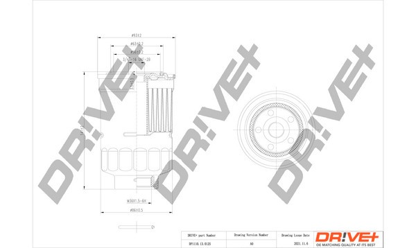 Dr!ve+ DP1110.13.0125 filtru combustibil
