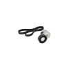 Set Curea transmisie FORD FOCUS II Cabriolet CONTITECH 6PK1217K1