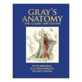 Grays Anatomy