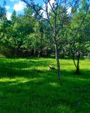 Teren de vanzare, Teren intravilan