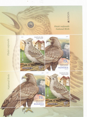 PASARI ,EUROPA 2019,BLOC MODEL I ,MNH,ROMANIA. foto