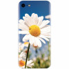 Husa silicon pentru Apple Iphone 5c, Daisies Field Flowers