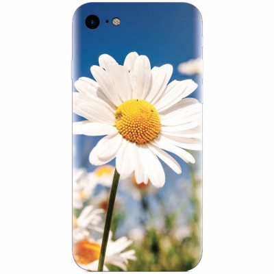 Husa silicon pentru Apple Iphone 6 Plus, Daisies Field Flowers foto