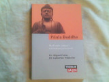 Pilula Budha-meditatie,yoga si schimbare personala-Dr.Miguel Farias,C.Wikholm